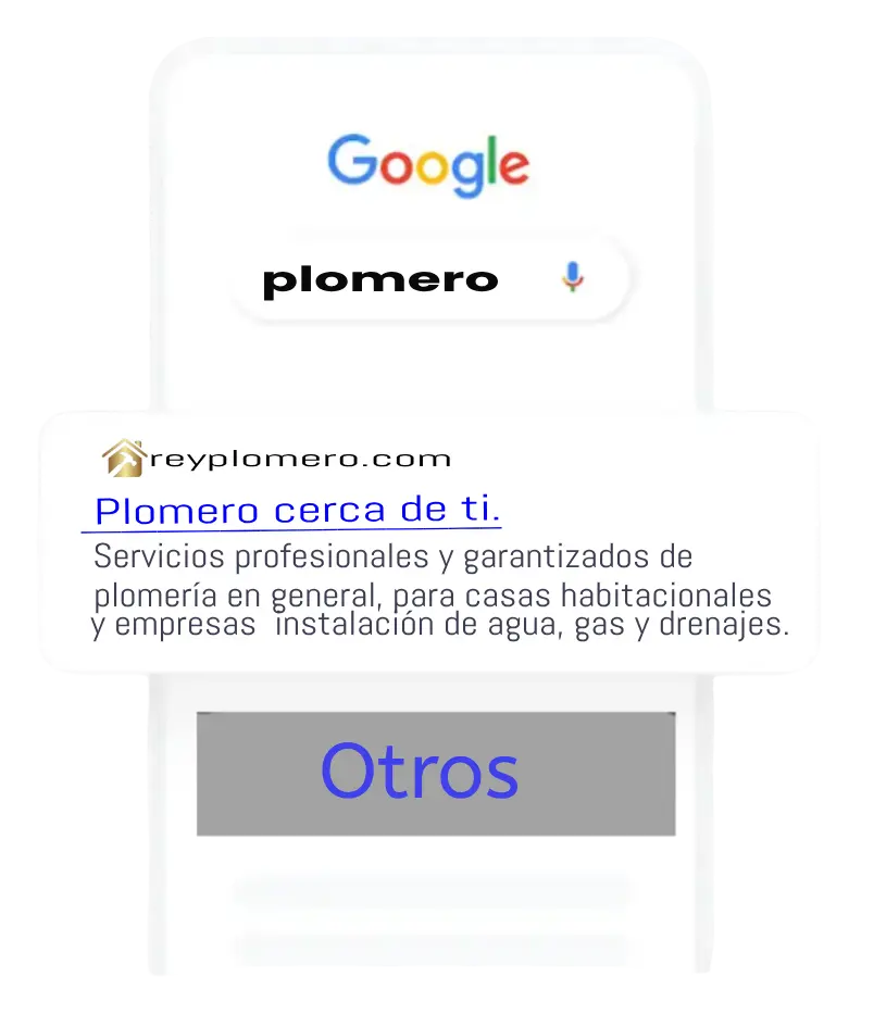 Desarrollo web para empresas de plomeria